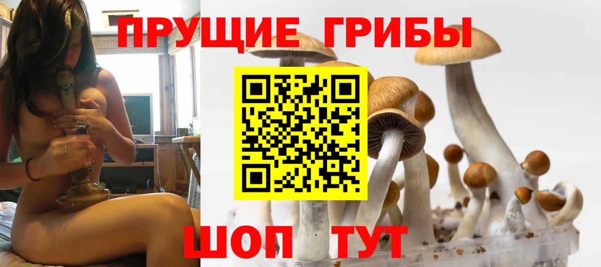Галлюциногенные грибы мицелий  Вход с VPN  Псилоцибиновые грибы Cubensis  Братск 