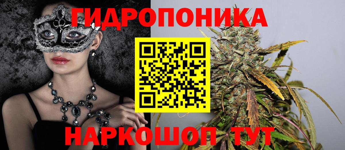 МАРИХУАНА сатива Братск